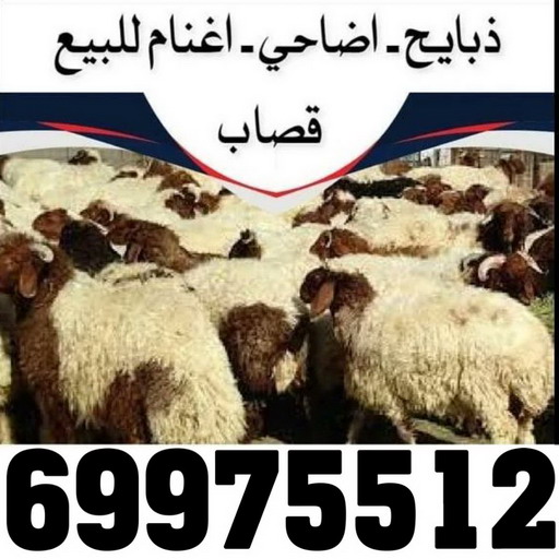 المنيوم الكويت – فني المنيوم - علي باكستاني 66198263 - المنيوم - شتر - تركيب مطابخ - فني شتر - تركيب شتر - تصليح شتر - تصليح مطبخ - معلم المنيوم - فني المنيوم الكويت 8 2 المنيوم الكويت – فني المنيوم - علي باكستاني 66198263 - المنيوم - شتر - تركيب مطابخ - فني شتر - تركيب شتر - تصليح شتر - تصليح مطبخ - معلم المنيوم - فني المنيوم الكويت