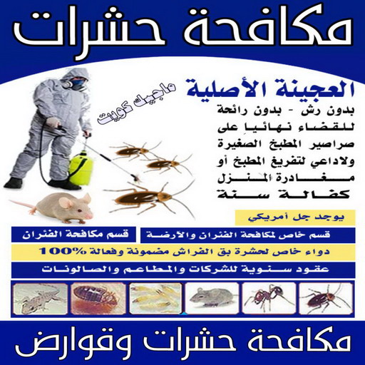 مكافحة حشرات - مكافحة حشرات وقوارض - شركة حشرات📞66991461 - رش حشرات - شركة رش حشرات - مكافحة الحشرات - مكافحة قوارض - شركة حشرات - شركة مكافحة حشرات 1 مكافحة حشرات - مكافحة حشرات وقوارض - شركة حشرات📞66991461 - رش حشرات - شركة رش حشرات - مكافحة الحشرات - مكافحة قوارض - شركة حشرات - شركة مكافحة حشرات