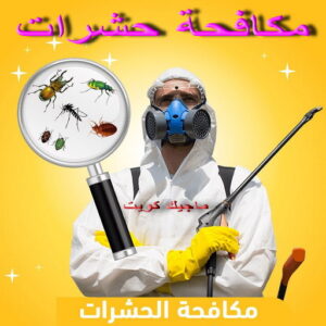 شركة رش حشرات 6 مكافحة حشرات - مكافحة حشرات وقوارض - شركة حشرات📞66991461 - رش حشرات - شركة رش حشرات - مكافحة الحشرات - مكافحة قوارض - شركة حشرات - شركة مكافحة حشرات