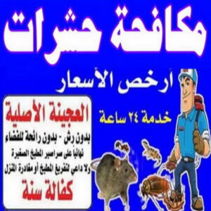 مكافحة حشرات بالكويت42 مكافحة حشرات - مكافحة حشرات وقوارض - شركة حشرات📞66991461 - رش حشرات - شركة رش حشرات - مكافحة الحشرات - مكافحة قوارض - شركة حشرات - شركة مكافحة حشرات